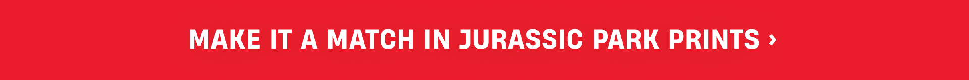 Make it a match in Jurassic Park Prints