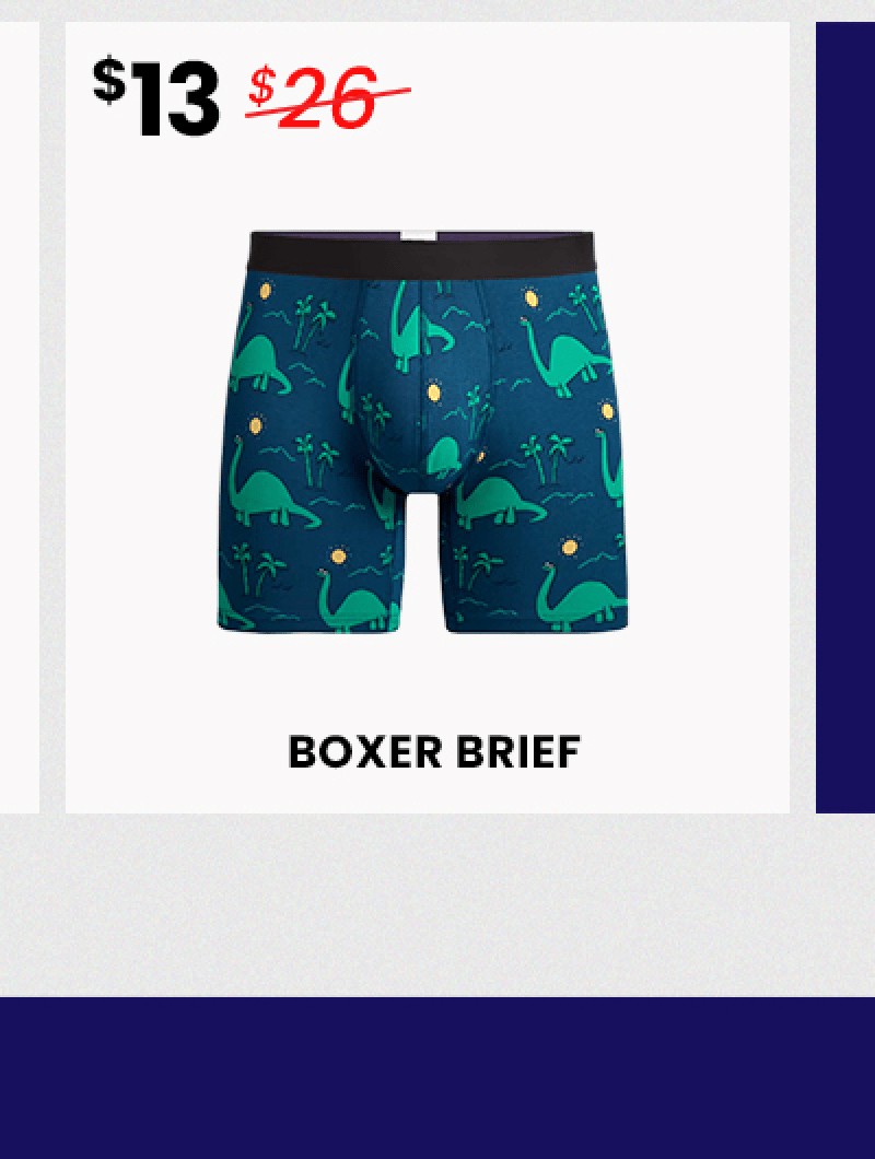 $13 | Boxer Brief