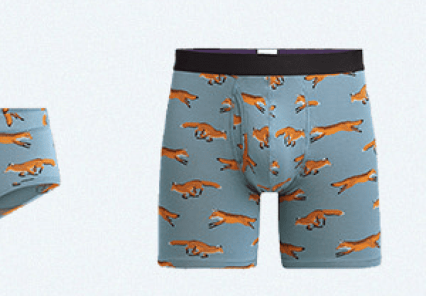 The Ball Caddy™ Boxer Brief w/ Fly