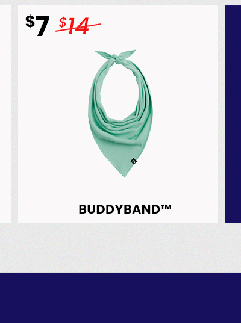 Buddyband