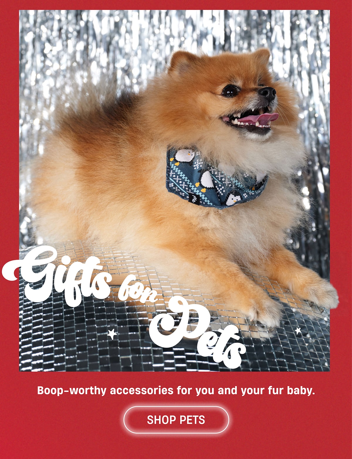 gifts for pets | Boop-worthy accessories for you and your fur baby. | Shop Pets