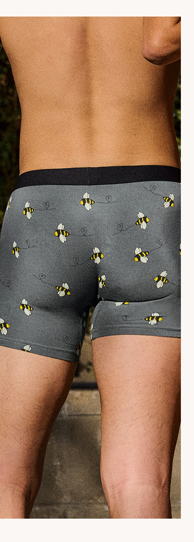 Let It Bee Boxer Brief