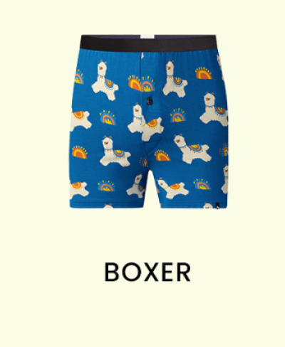 Boxer