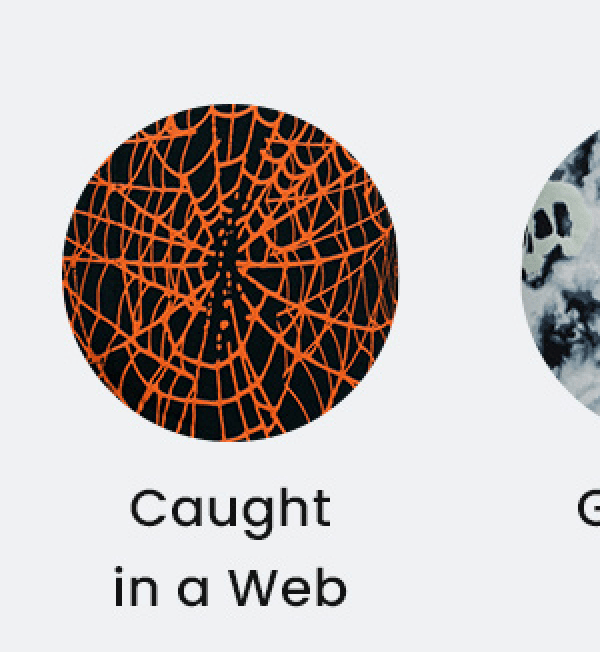 Caught in a Web