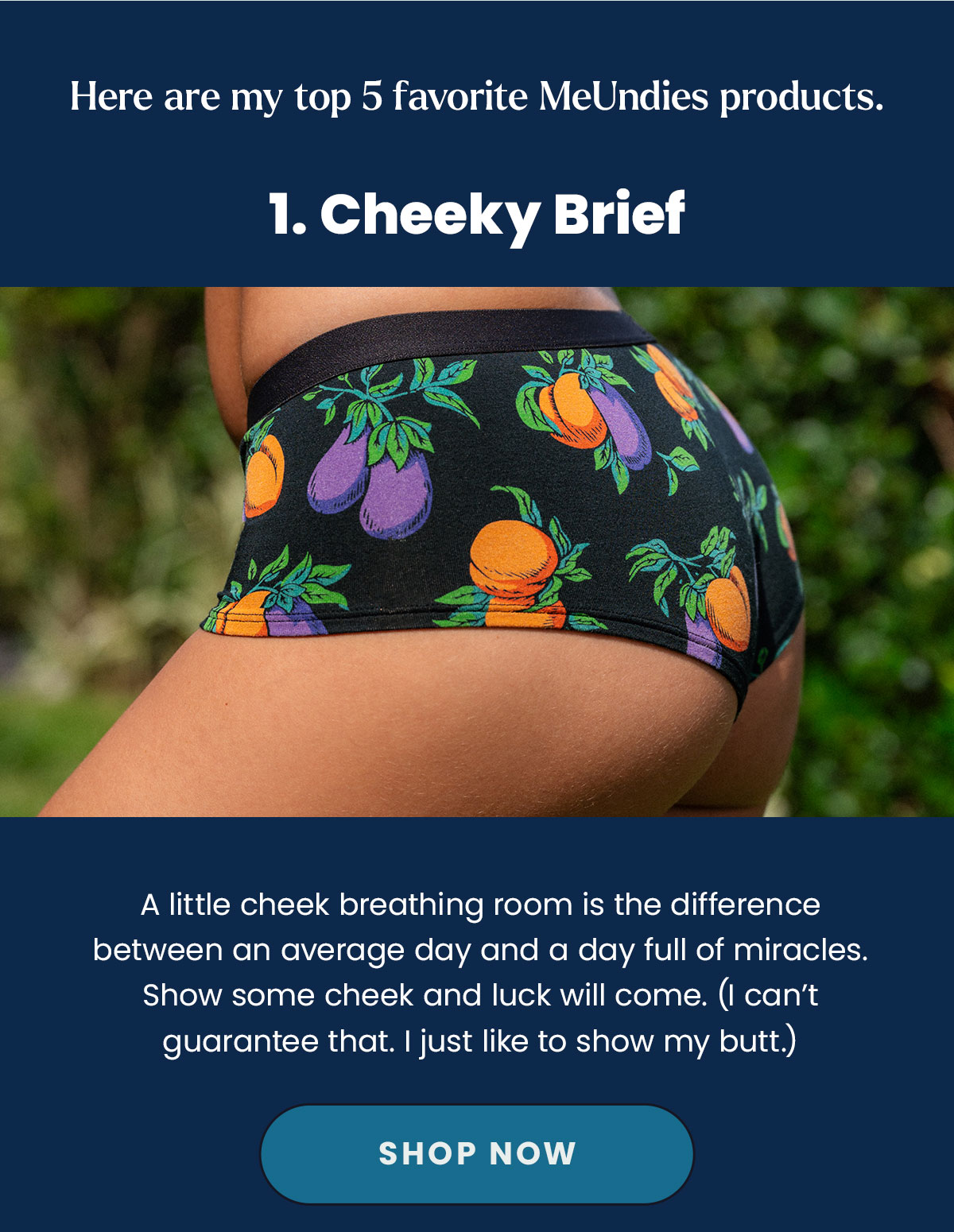 Here are my top 5 favorite MeUndies products. 1. Cheeky Brief - A little cheeck breathing room is the difference between an average day and a day full of miracles. Show some cheeck and luck will come. (I can't guarantee that. I just like to show my butt.)