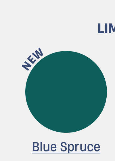 Blue Spruce Blue Spruce