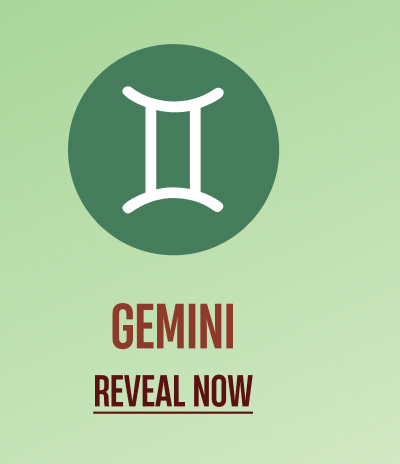 Gemini Gemini