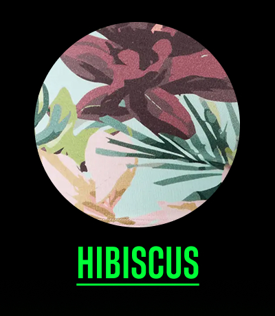 Hibiscus