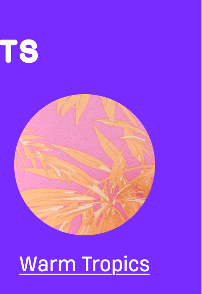Warm Tropics Warm Tropics