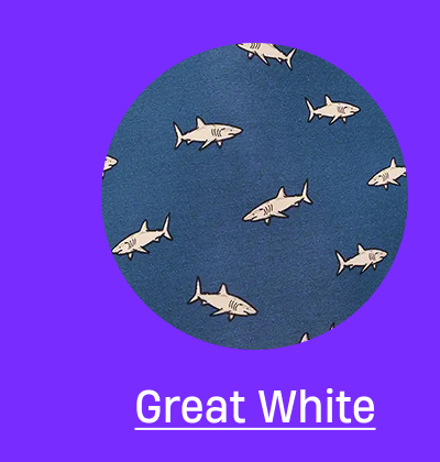 Great White Great White