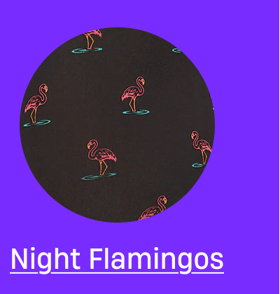 Night Flamingos Night Flamingos