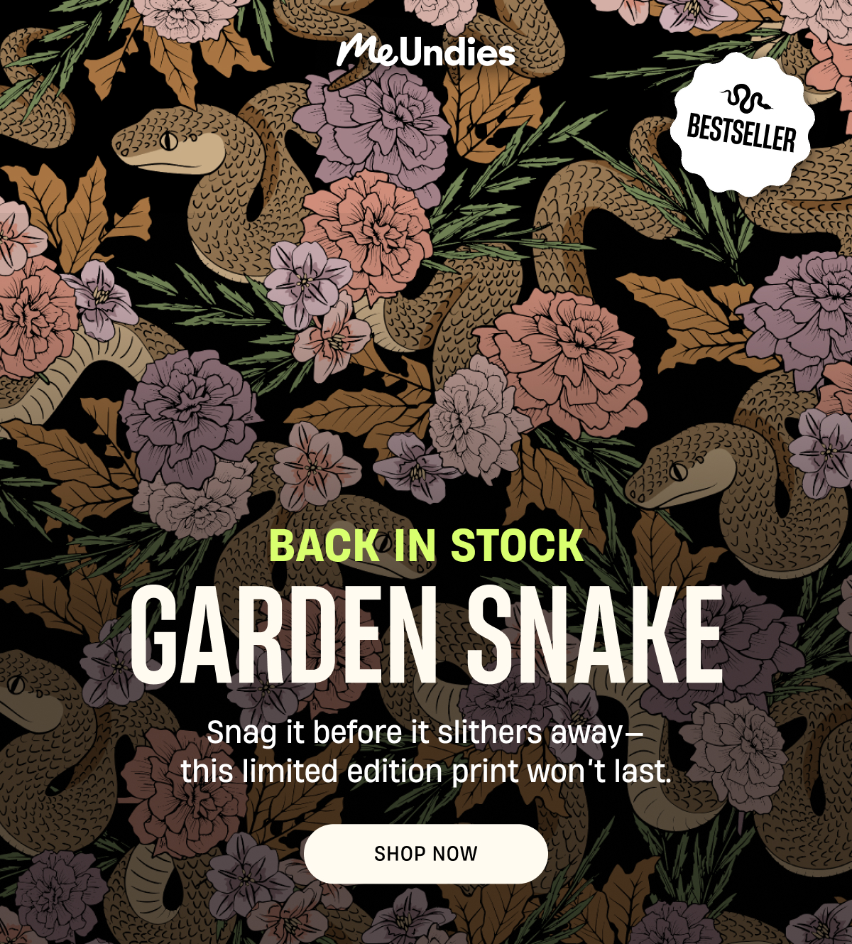 MeUndies | Back In Stock | Garden Snake | Shop Now