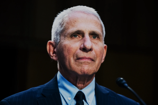 DOGE: Contract for $168,000 Anthony Fauci Museum Exhibit Terminated