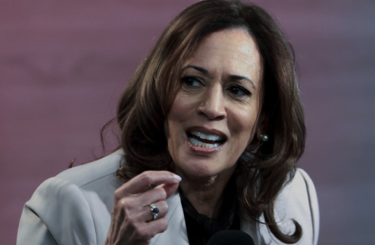 Tim Pool files defamation lawsuit against Kamala Harris campaign over misleading 'Kamala HQ' posts