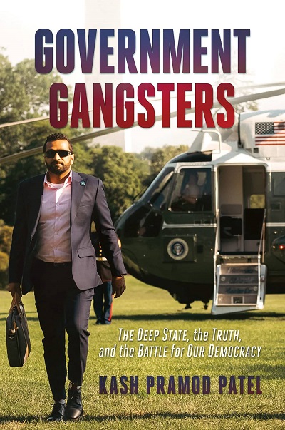 Government Gangsters Book