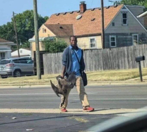 ''Can't Take It Anymore'': Residents Of Springfield Ohio Beg For Help After 20,000 Haitians Overwhelm City, Eat Local Wildlife