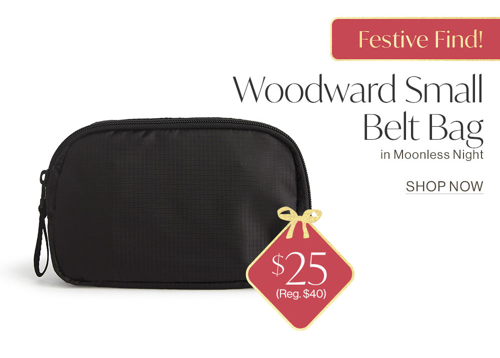 Shop Woodward Small Belt Bag