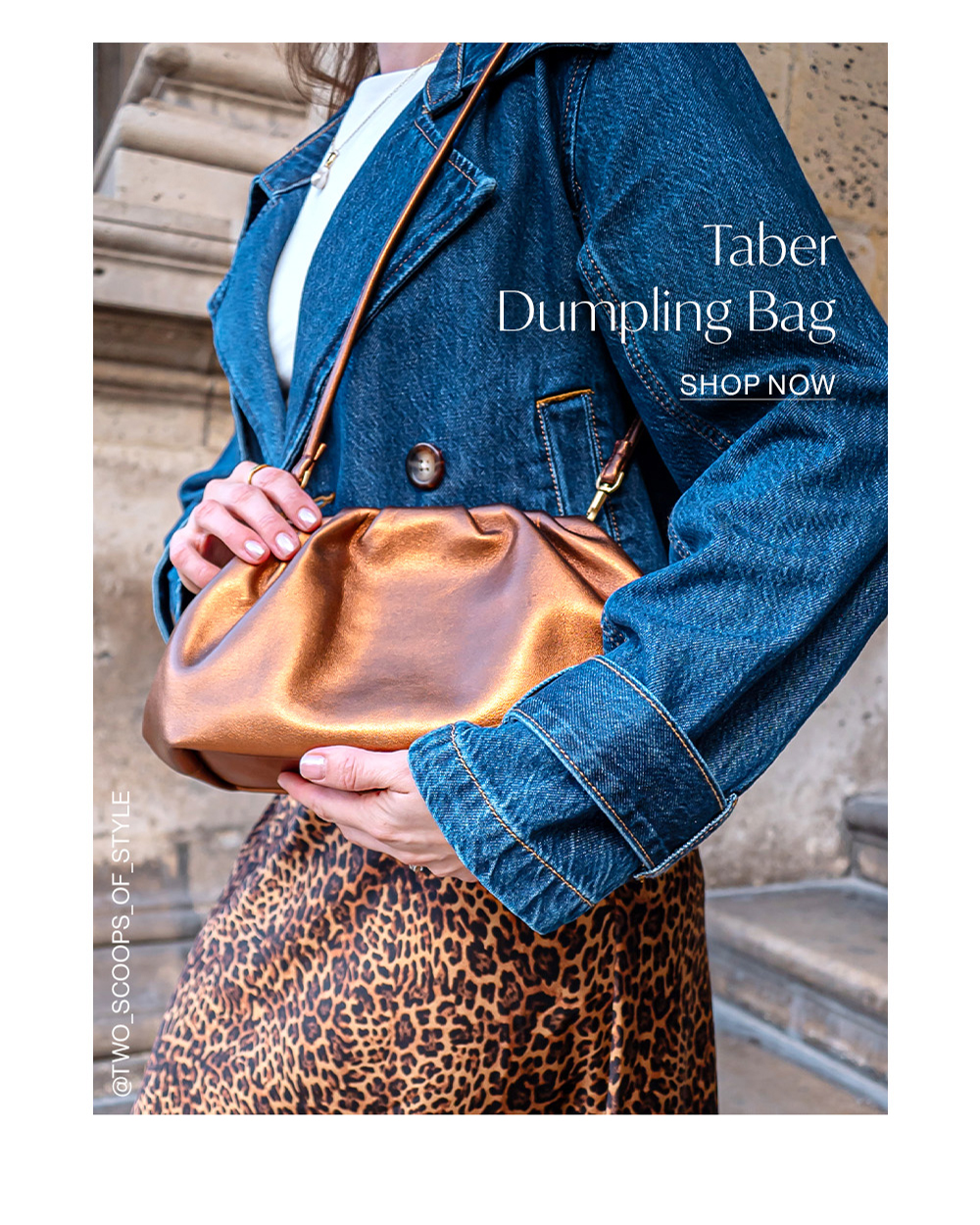 Shop Taber Dumpling Bag