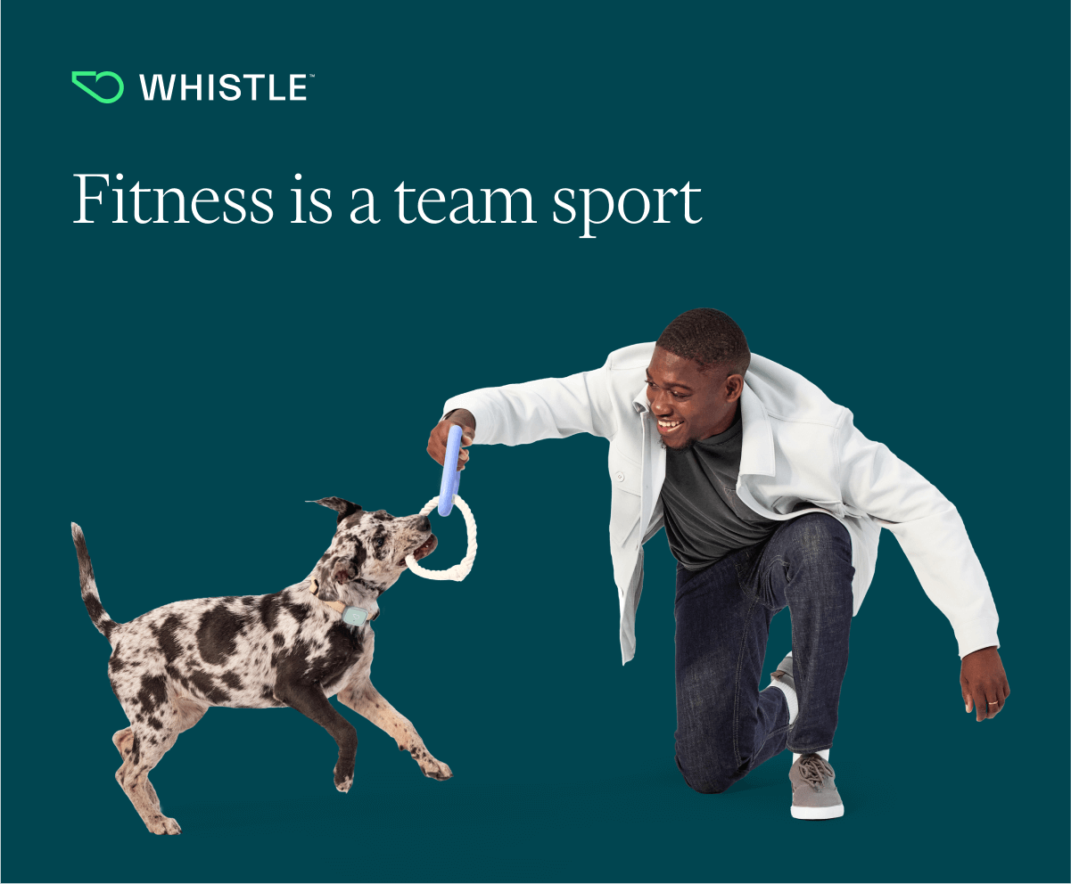 Reach fitness goals with Whistle