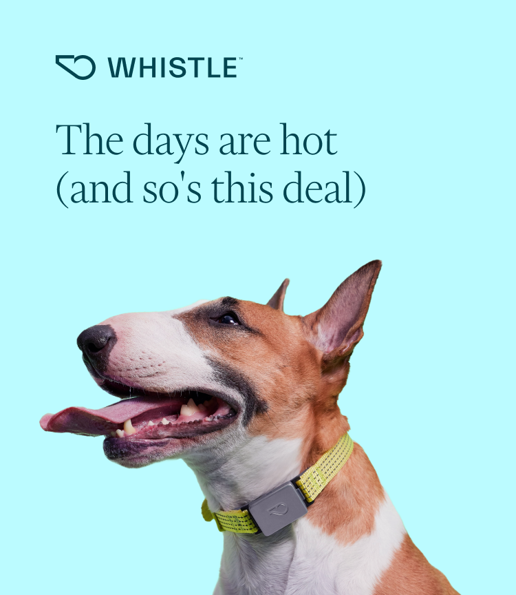 The days are hot (and so's this deal)