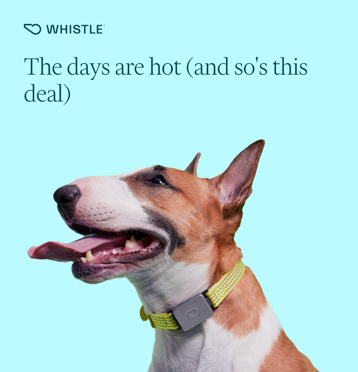 The days are hot (and so's this deal)