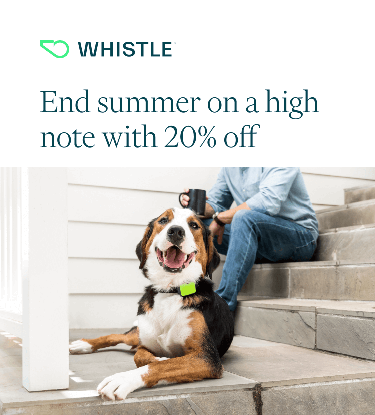 End summer on a high note with 20% off