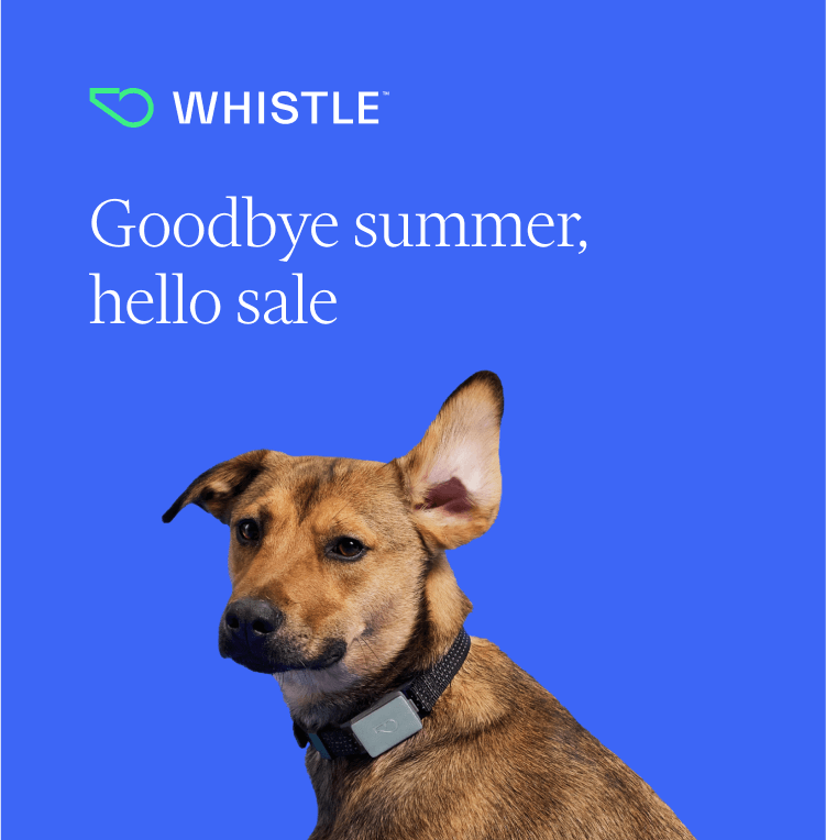 Goodbye summer, hello sale! Enjoy 20% off