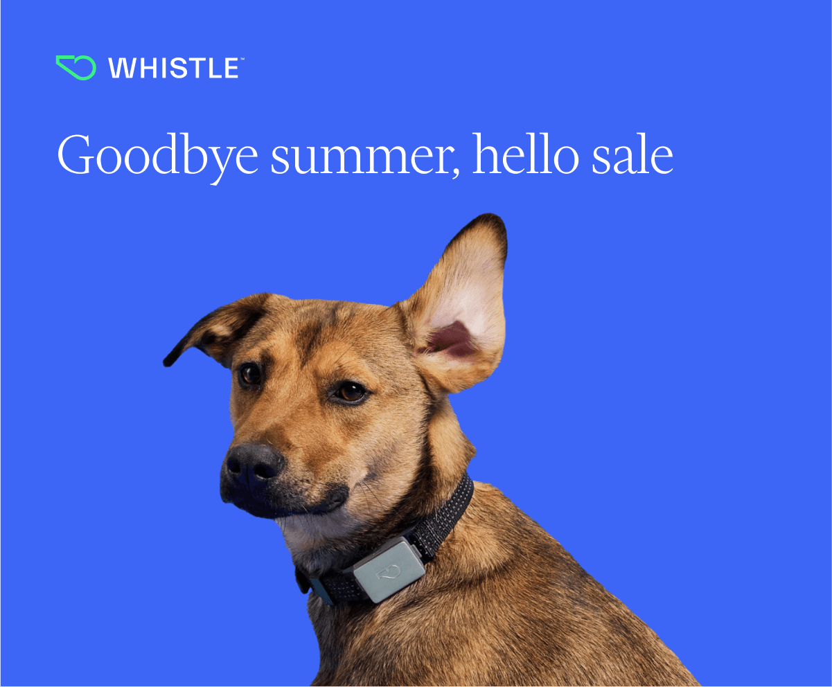 Goodbye summer, hello sale! Enjoy 20% off