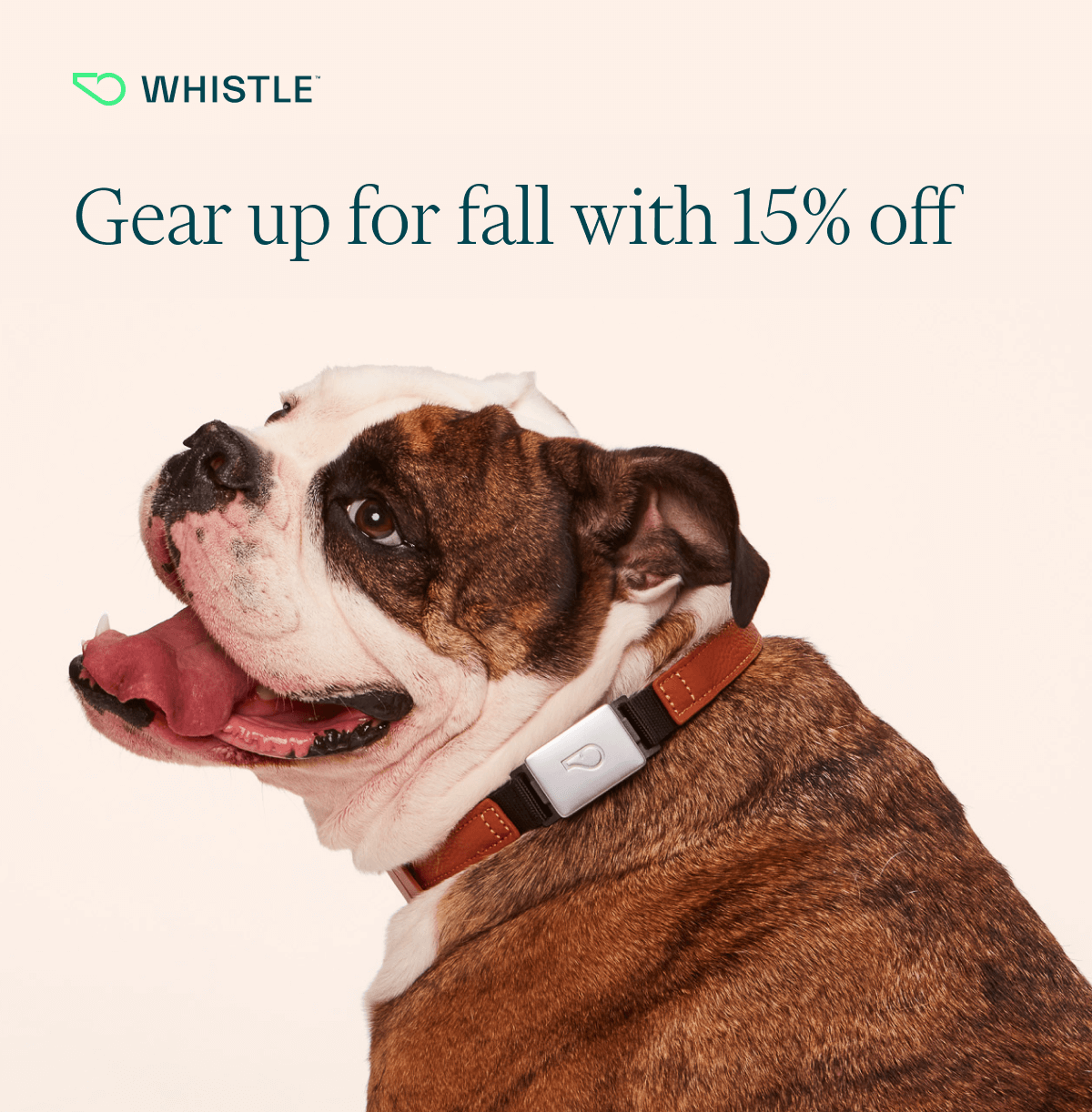 Gear up for fall with 15% off