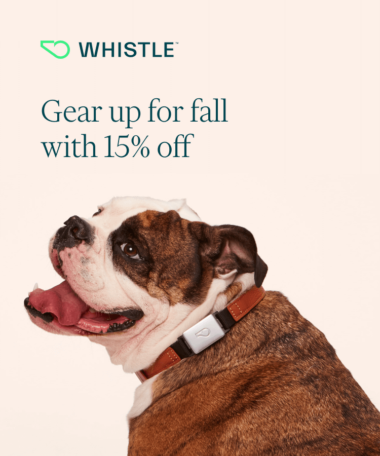 Gear up for fall with 15% off