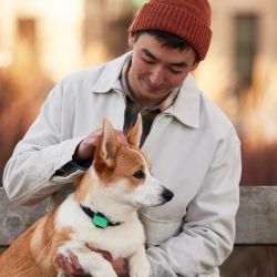 Dog wearing Whistle sitting with their pet parent