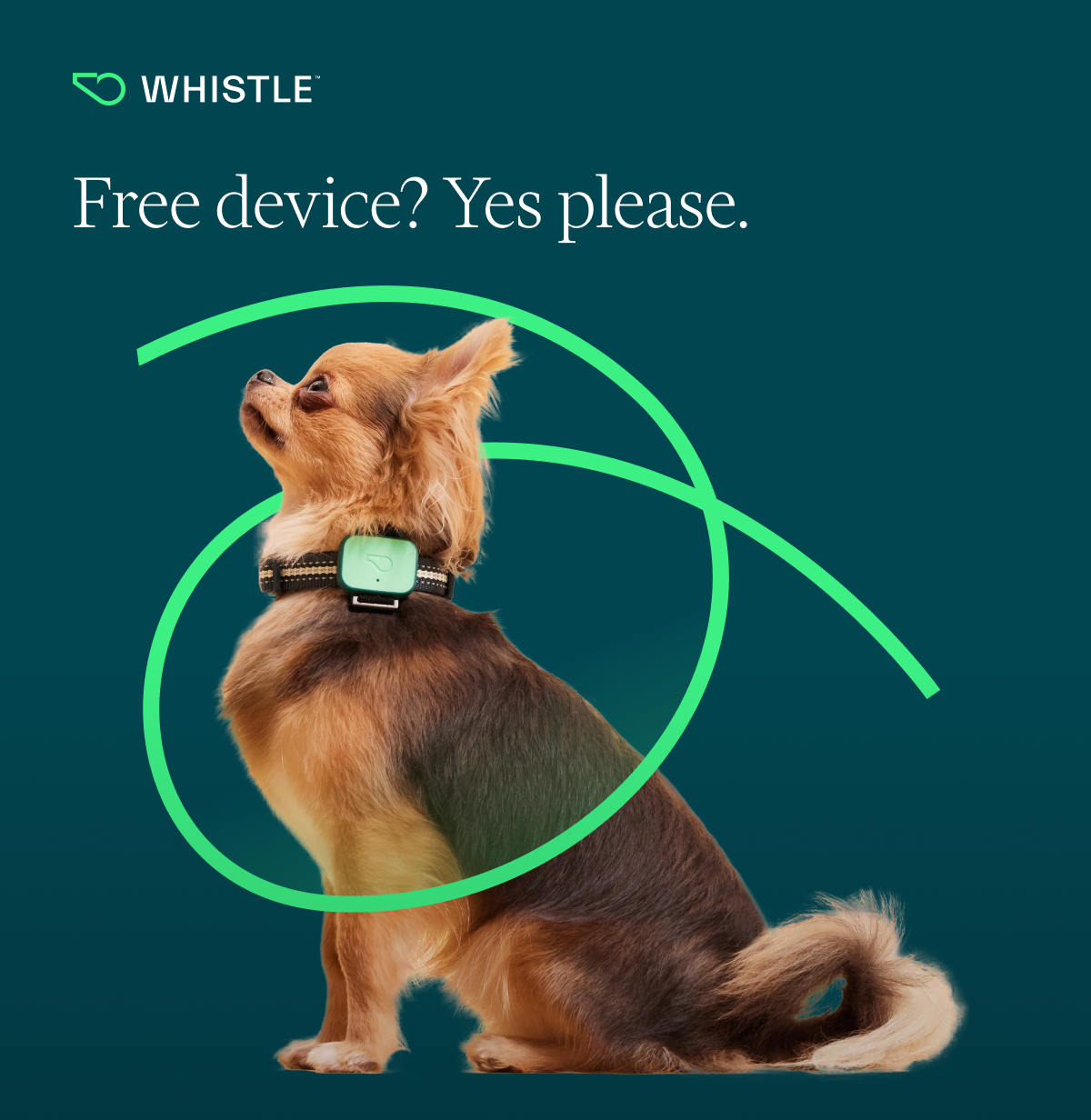 Free device? Yes please.