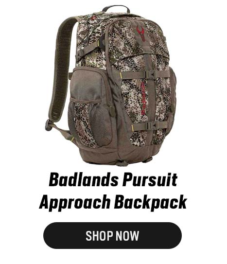 Badlands Pursuit Approach Backpack