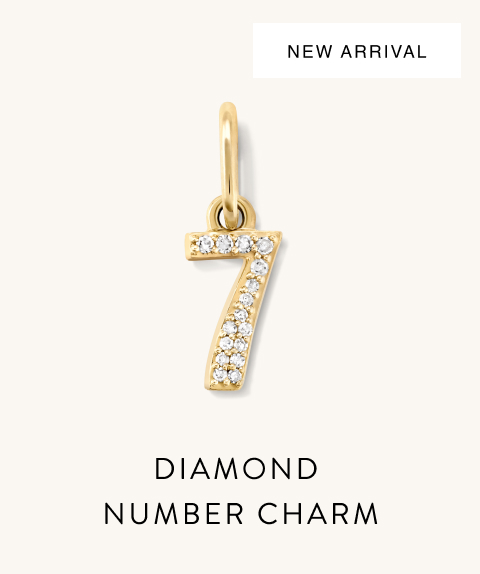 New Arrival. Diamond Number Charm.