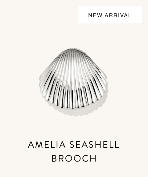 New Arrival. Amelia Seashell Brooch.