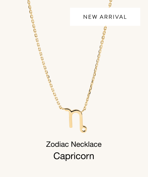 New Arrival. Zodiac Necklace Capricorn.