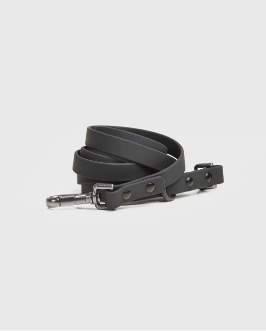 Flex-Poly Dog Leash