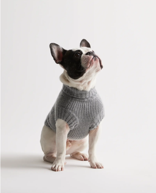 Mongolian Cashmere Cable Knit Dog Sweater 