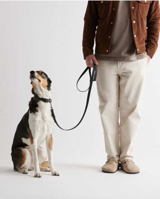 Flex-Poly Dog Leash