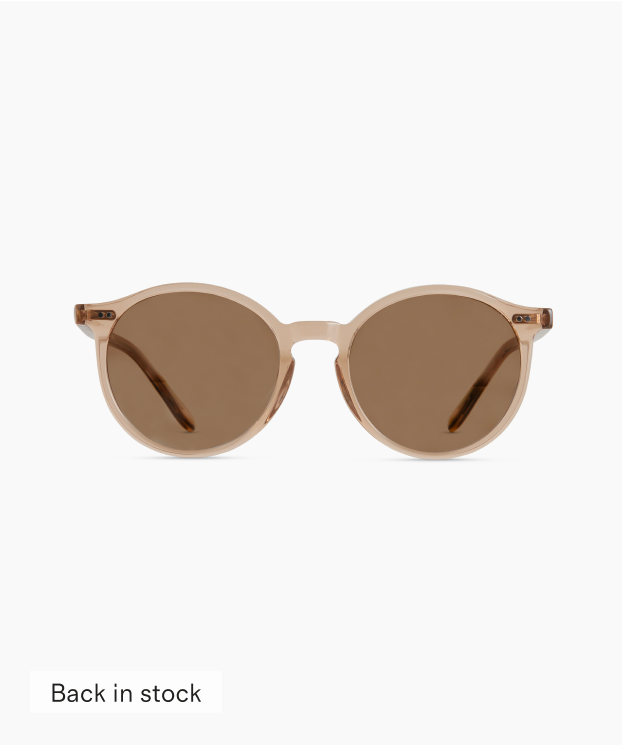 Brixton Polarized Acetate Sunglasses