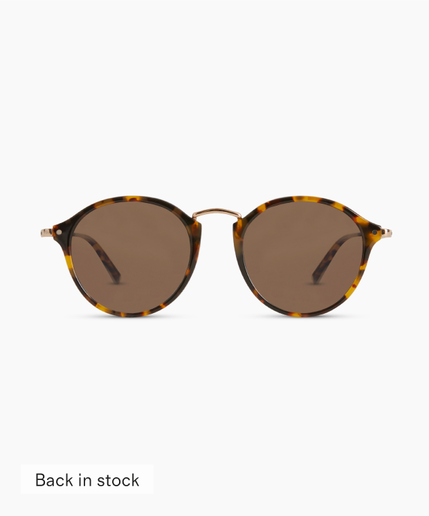 Ryder Polarized Acetate Sunglasses