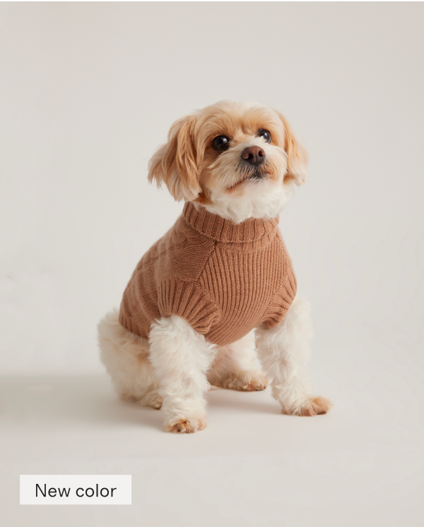 Mongolian Cashmere Cable Knit Dog Sweater