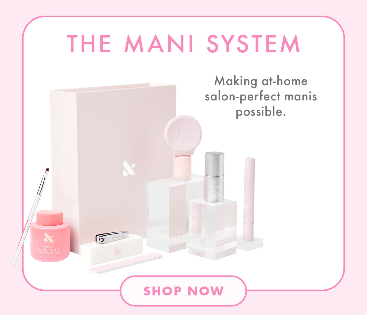 THE MANI SYSTEM