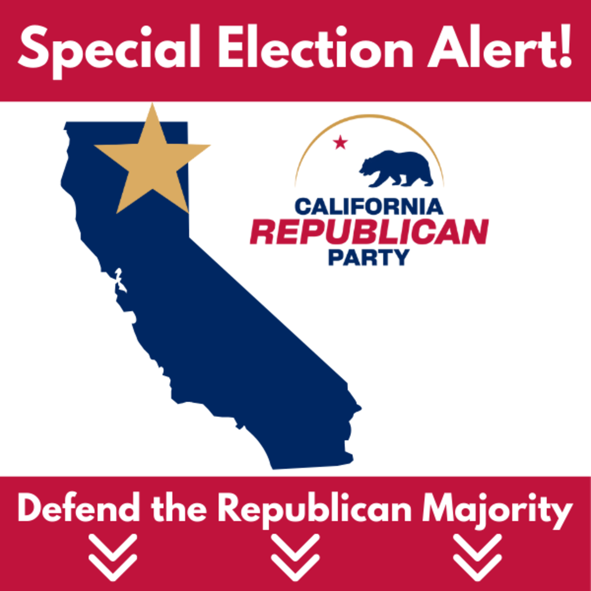 Investigate Newsom Next