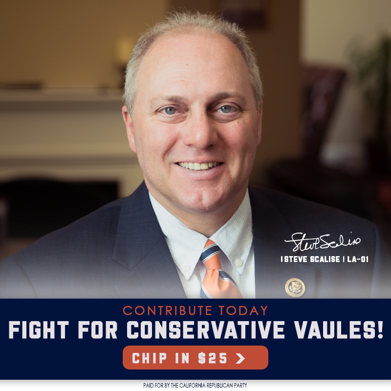 Steve Scalise: Fight for Conservative Values!