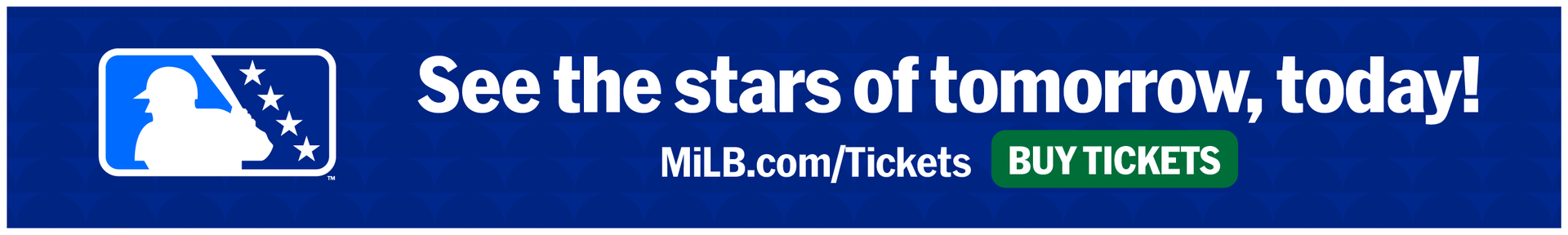 Buy MiLB Tickets