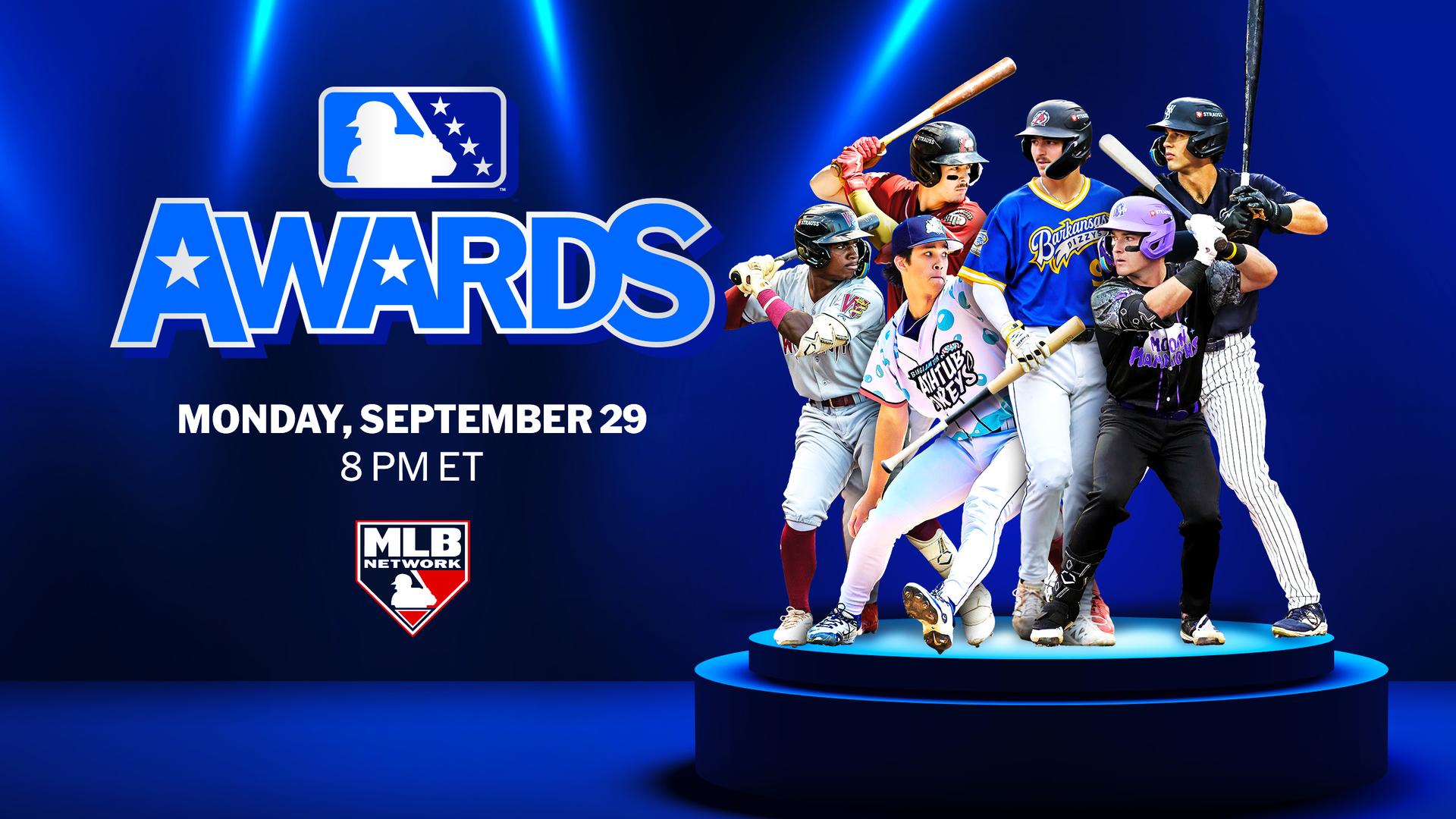 The MiLB Awards
