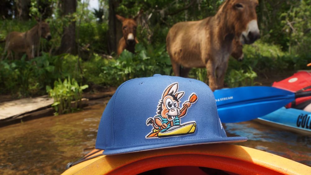 River Donkeys
