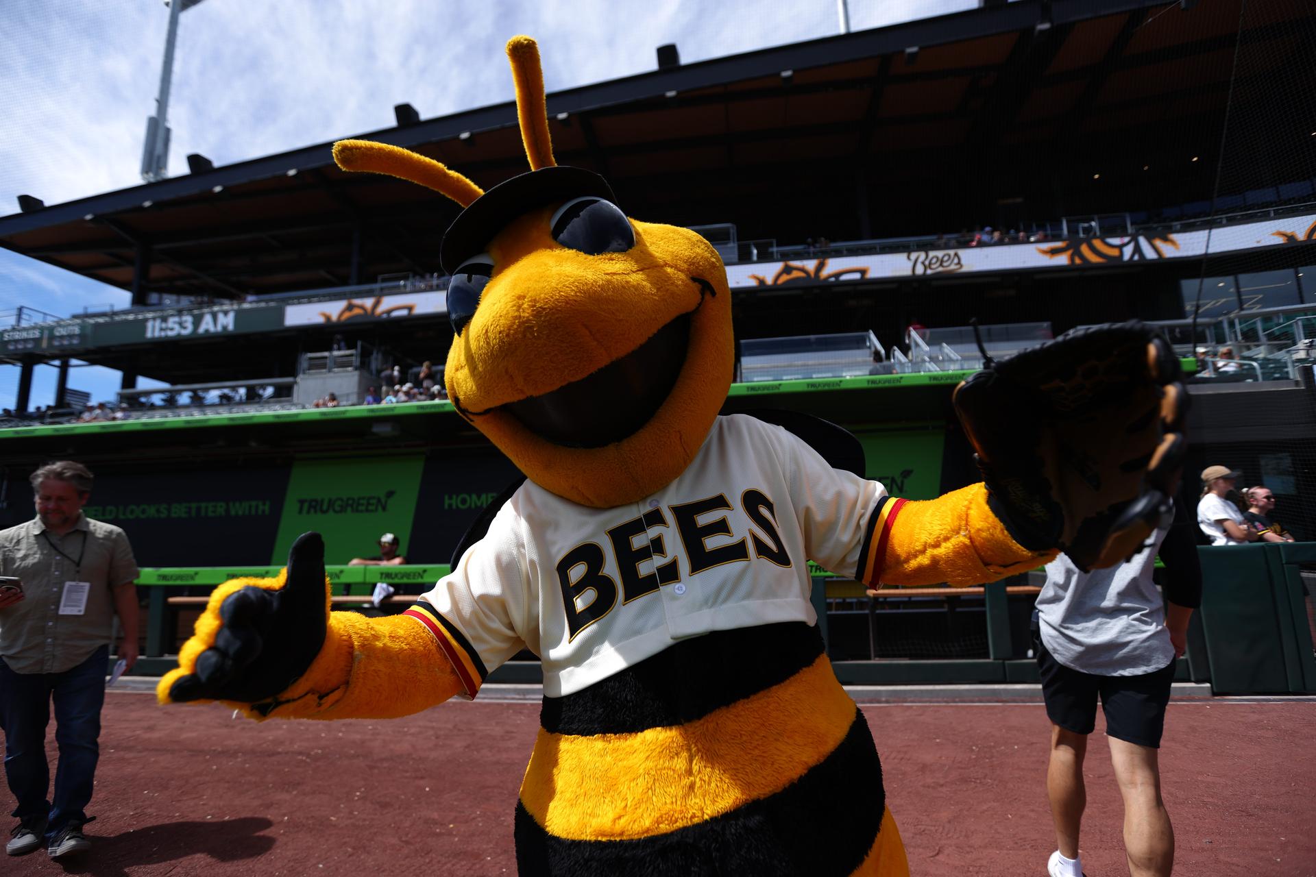 Bumble Bee