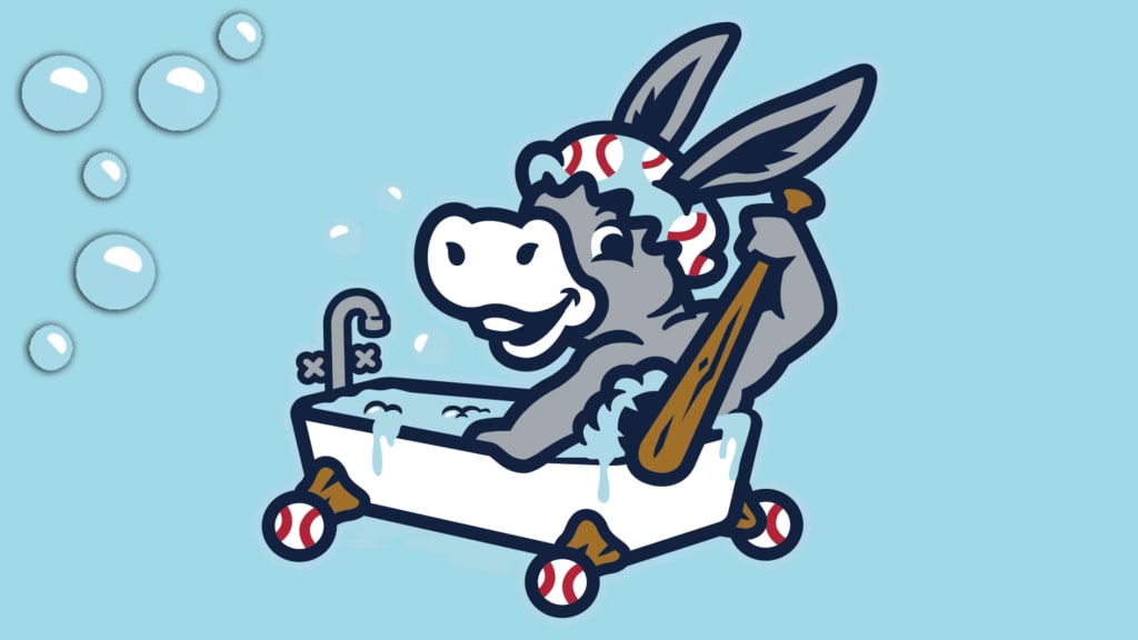 Bathtub Donkeys
